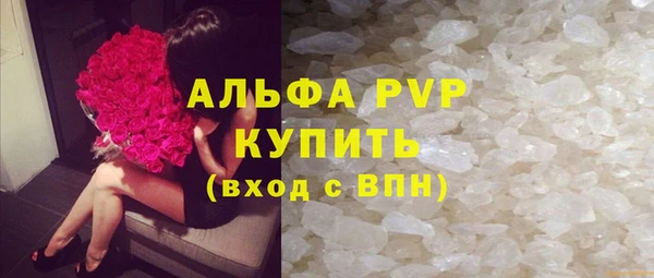 прущие грибы Приозерск