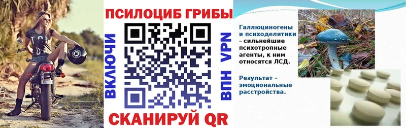 Псилоцибиновые грибы GOLDEN TEACHER даркнет формула Гаджиево